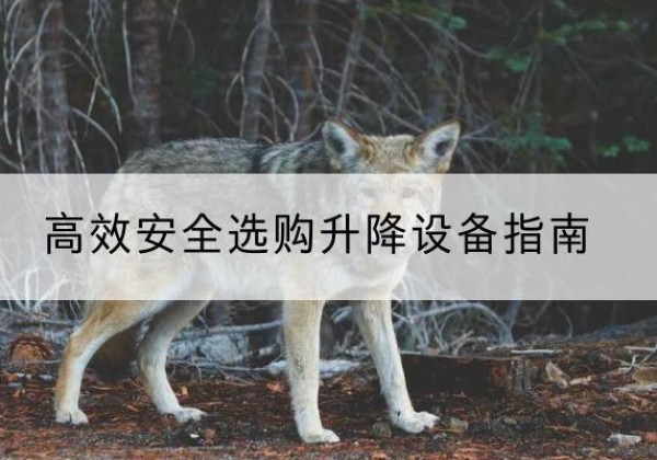 台江升降货梯厂家推荐-*安全选购升降设备指南